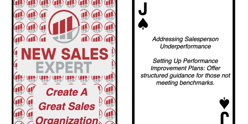 Jack of Spades: Setting Up Performance Improvement Plans: Offer structured guidance for those not meeting benchmarks.